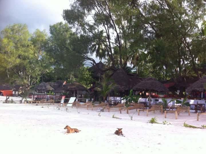 Sipano Beach Lodge Kiwengwa  Exterior photo