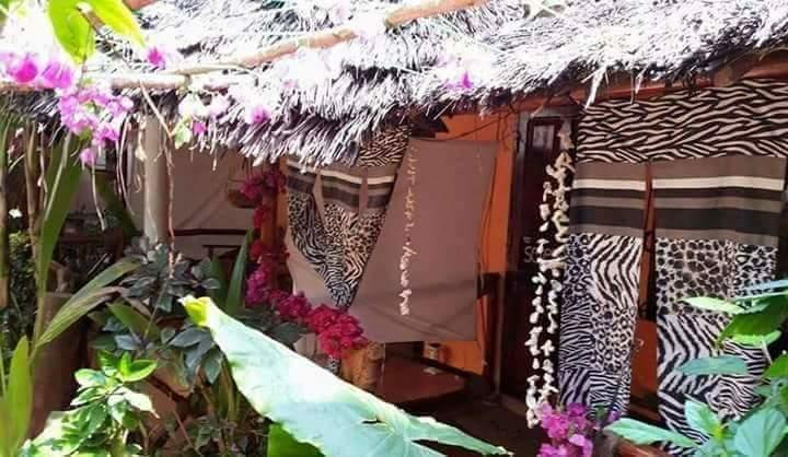 Sipano Beach Lodge Kiwengwa  Room photo